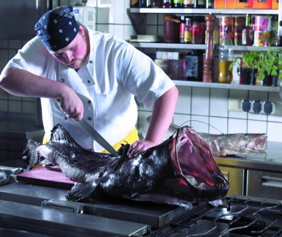 Wer eine große Klappe hat, muss leiden!