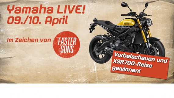 Heute und morgen lohnt sich ggf. ein Besuch des Yamaha LiVE. 