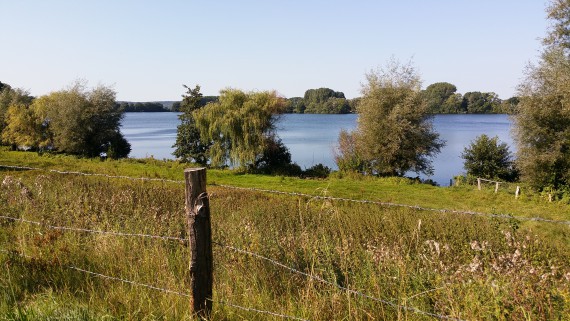 Die Strecke Richtung Bosau und Plöner See liegt landschaftlich schön! 