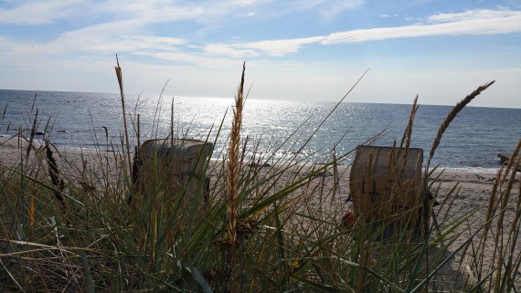 Da lässt es sich aushalten. Korb ganztägig 8 Euro. 